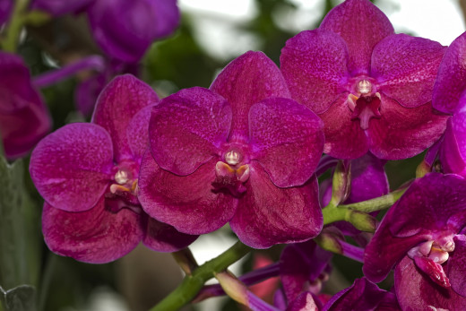 794614 (a): :2400x1600